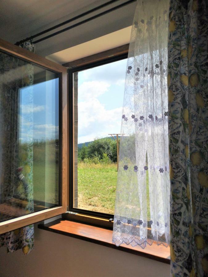 Apartament Z Kominkiem I Wanna Istebna Εξωτερικό φωτογραφία