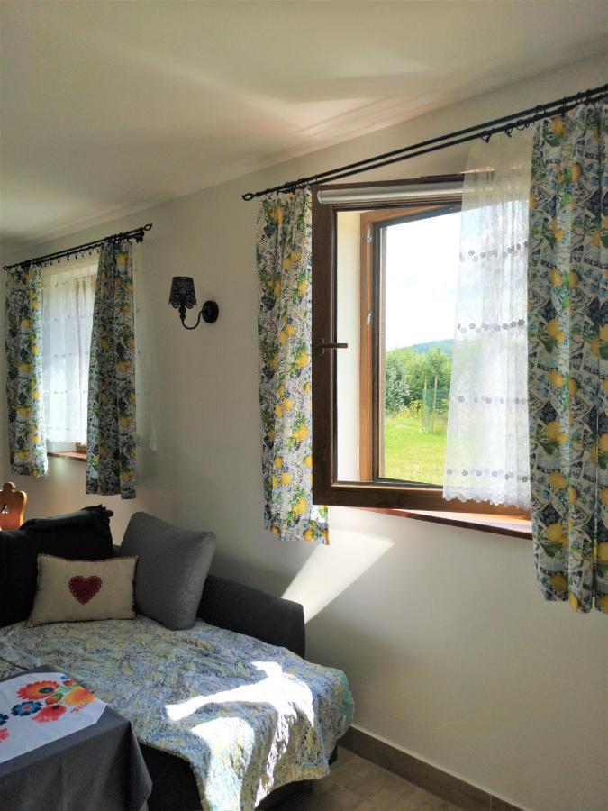 Apartament Z Kominkiem I Wanna Istebna Εξωτερικό φωτογραφία