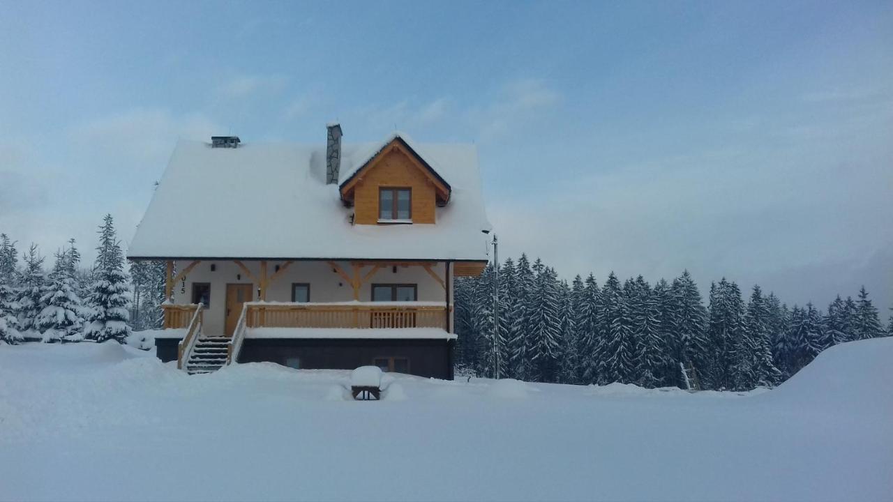 Apartament Z Kominkiem I Wanna Istebna Εξωτερικό φωτογραφία
